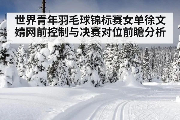 世界青年羽毛球锦标赛女单徐文婧网前控制与决赛对位前瞻分析